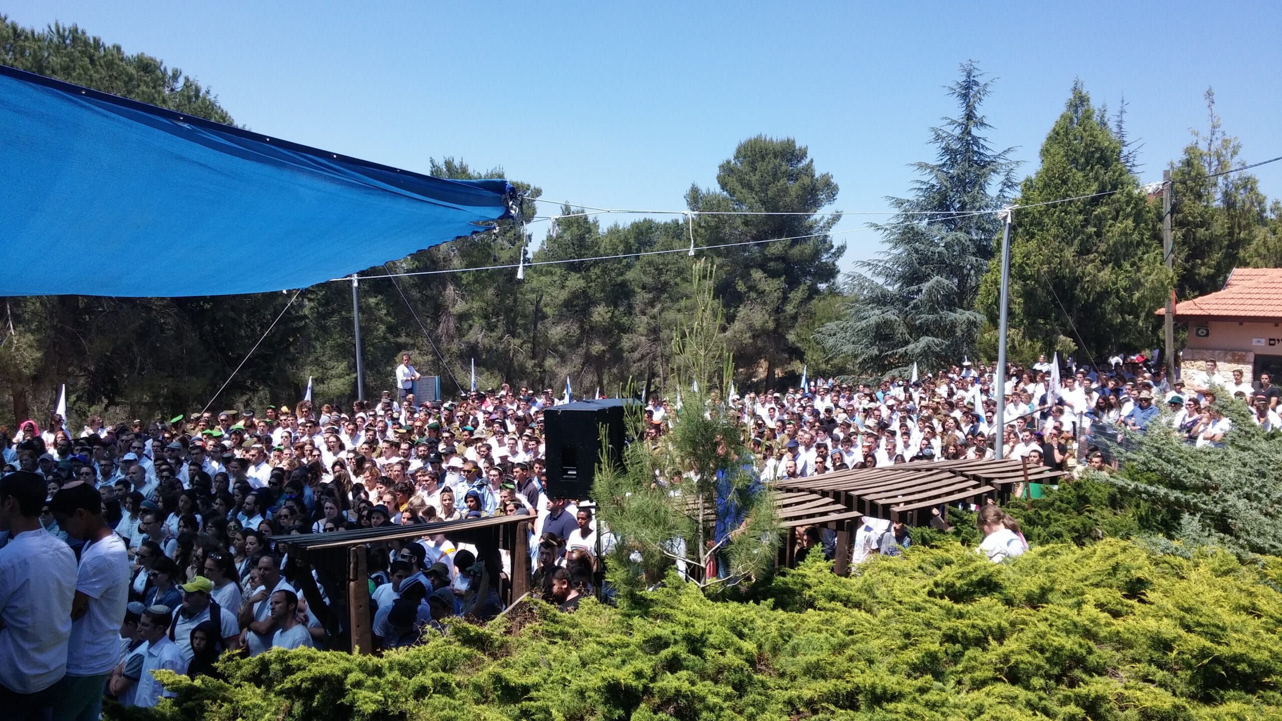 20160511_111430-scaled