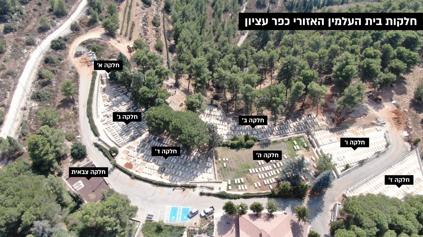 WhatsApp Image 2026-02-17 at 10.46