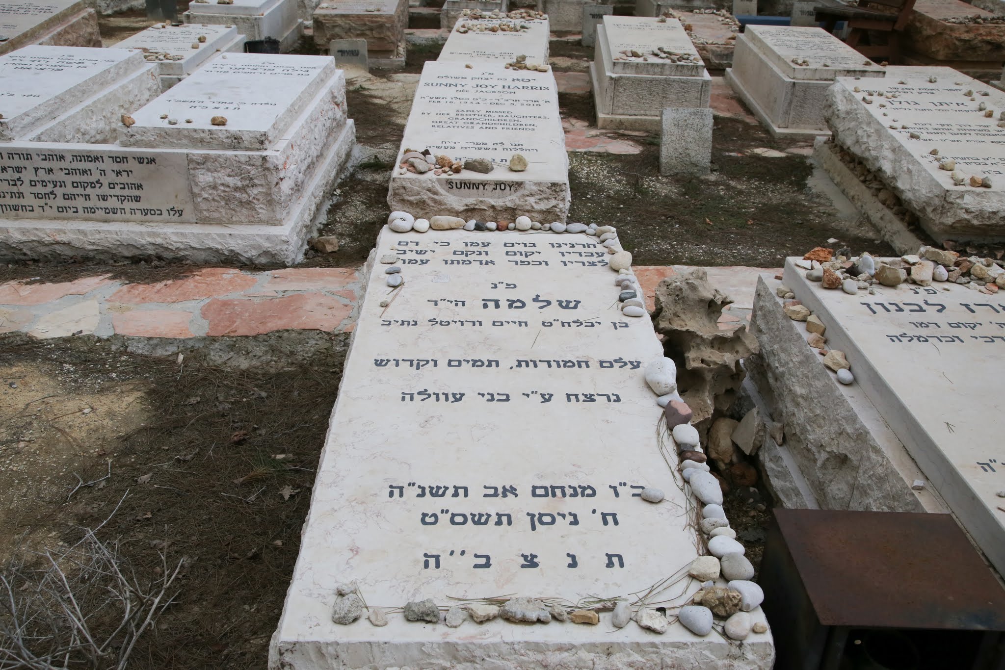 בית עלמין-1026