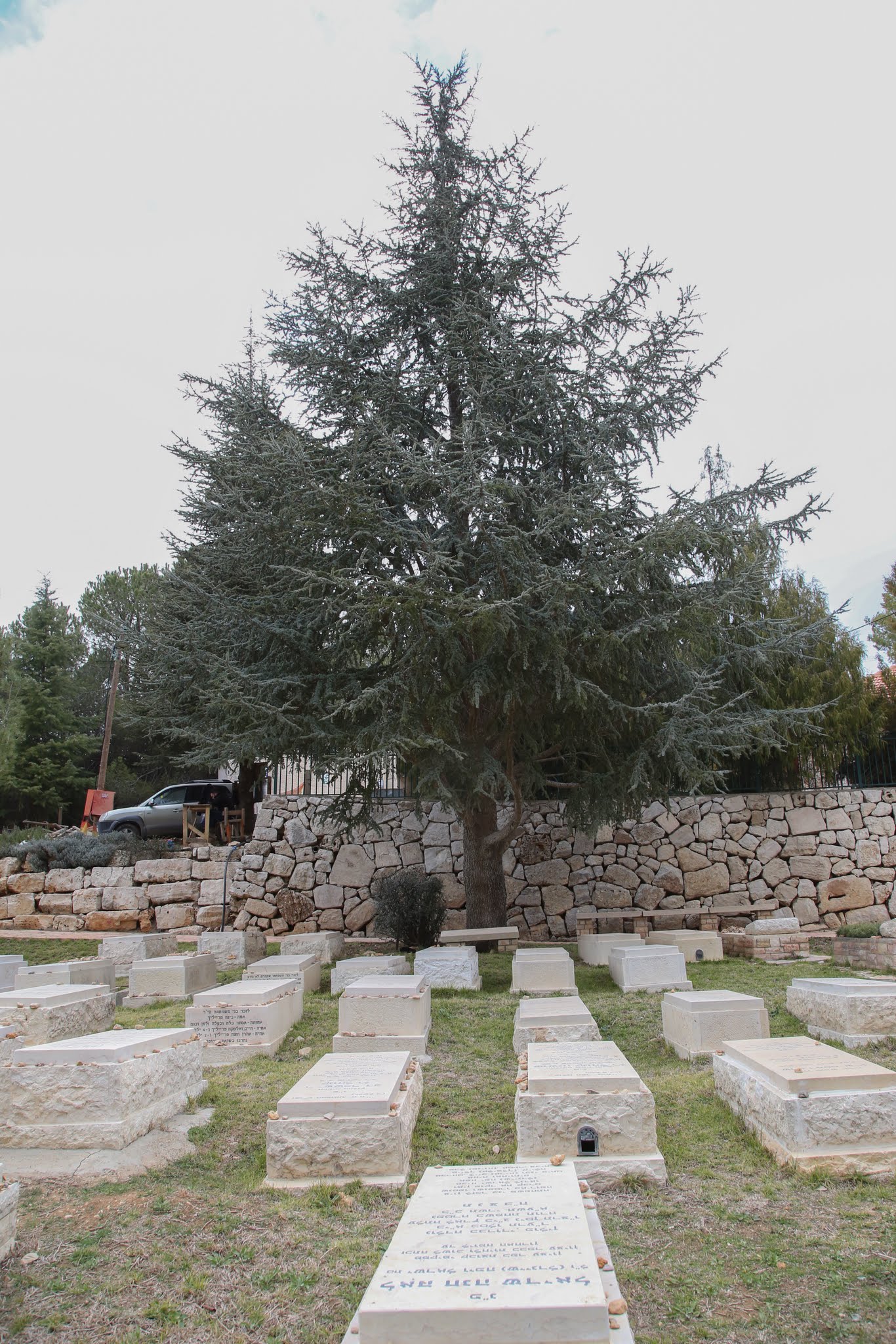 בית עלמין-1142